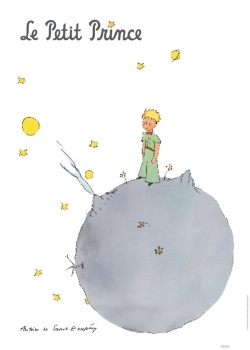 PETIT PRINCE SUR SA PLANETE