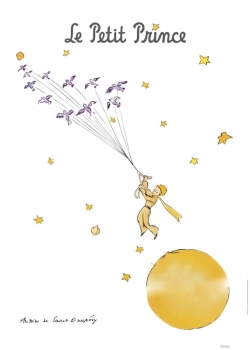 PETIT PRINCE ET LES OISEAUX