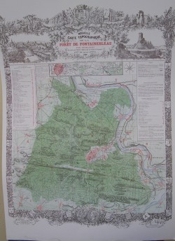 carte foret de fontainebleau